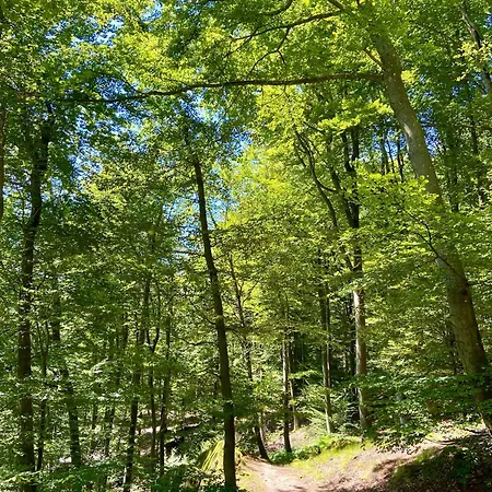 Superbe Maison Avec Jardin Holiday home