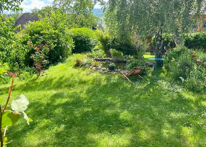 Superbe Maison Avec Jardin * Saverne